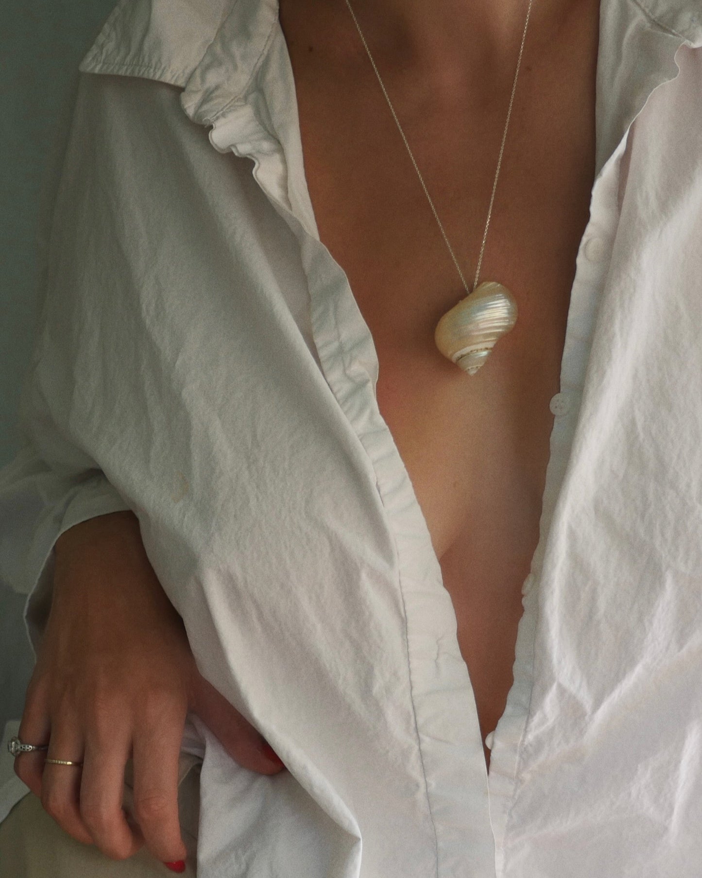 Collar de moluscos